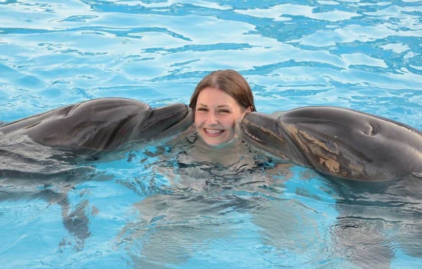 From Sharm El Sheikh: Dolphin Swimming Experience with Professional Trainers